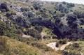 Garrigues et maquis