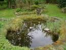 Une mare naturelle au jardin