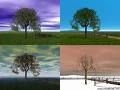 Le suivi de la nature au fil des saisons