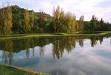 Le lagunage naturel