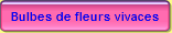 Bulbes de fleurs vivaces
