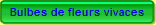 Bulbes de fleurs vivaces